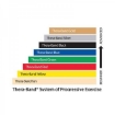 Slika THERA-BAND® elastična traka - Zelena