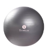 Slika Lopta za fitness - Ø65 Sveltus SIVA