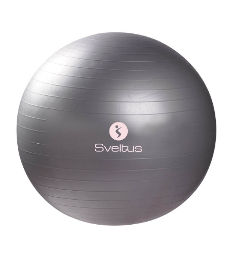 Slika Lopta za fitness - Ø65 Sveltus SIVA